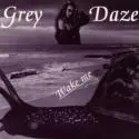 Grey Daze - Album Wake me.jpg